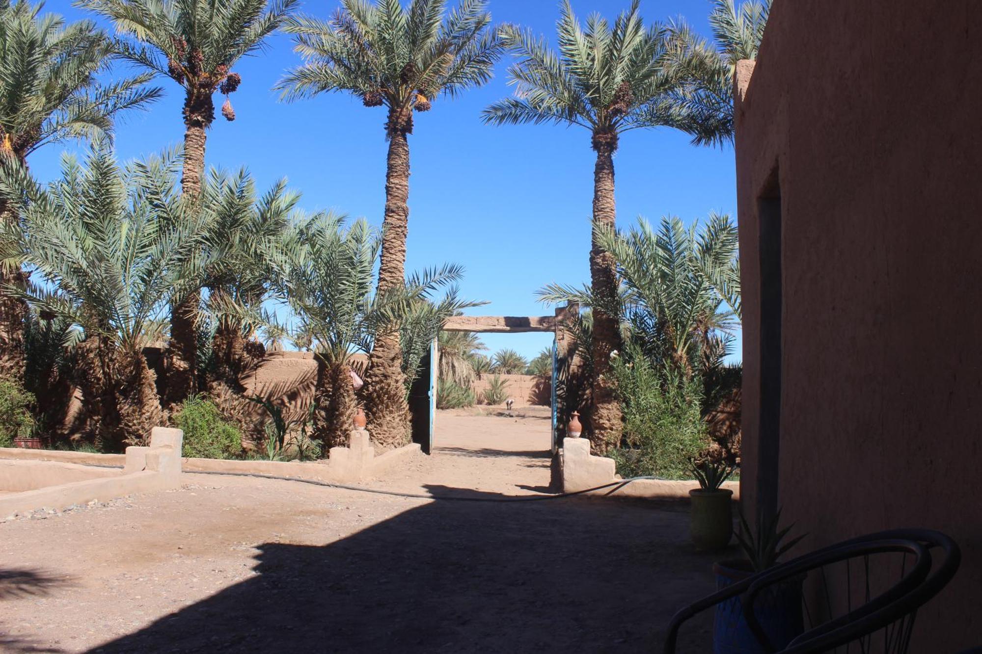 מחמיד Kasbah Desert Camp מראה חיצוני תמונה
