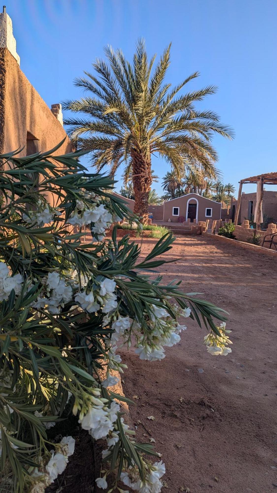 מחמיד Kasbah Desert Camp מראה חיצוני תמונה